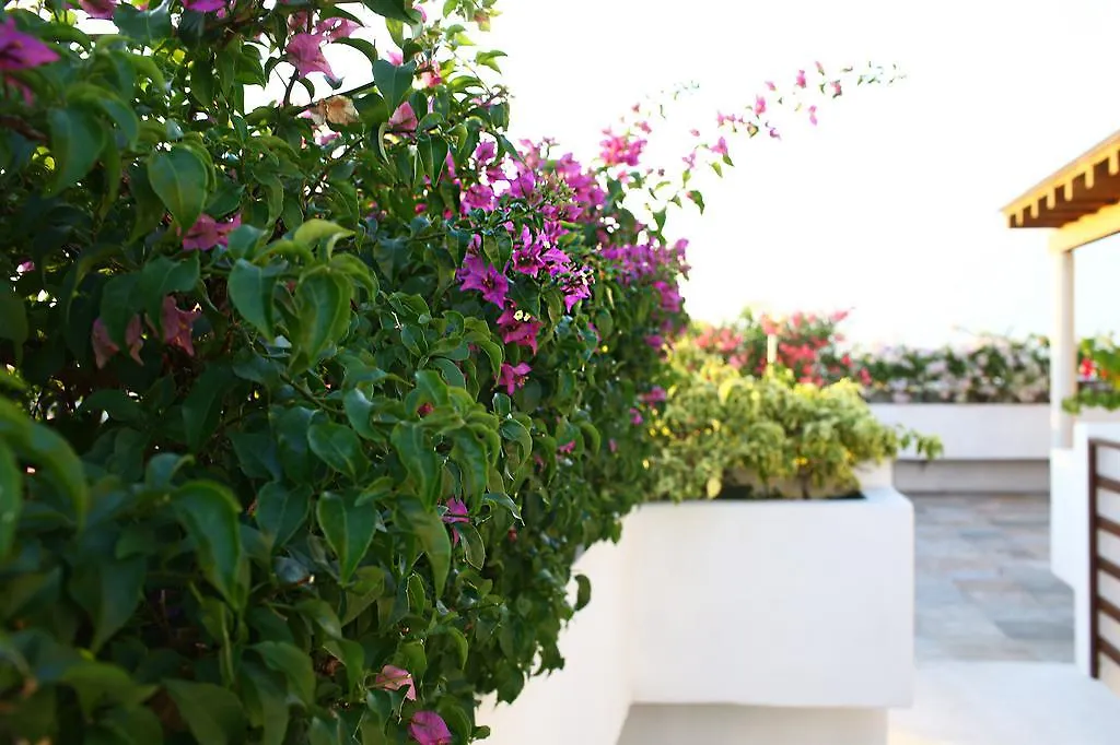 Apartment Ferienwohnung Playa 34/40 Playa del Carmen